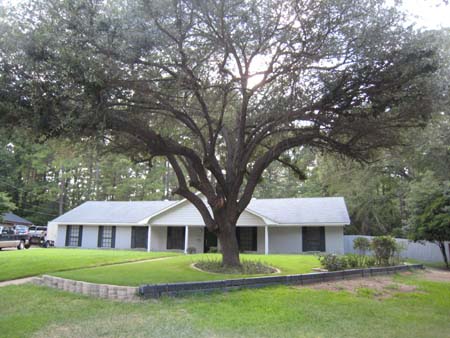 819 Pinegrove Front View